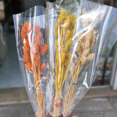 گل خشک طبیعی توت فرنگی رنگی