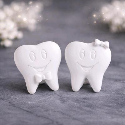 بیس خام دندون مناسب گیفت دندونی